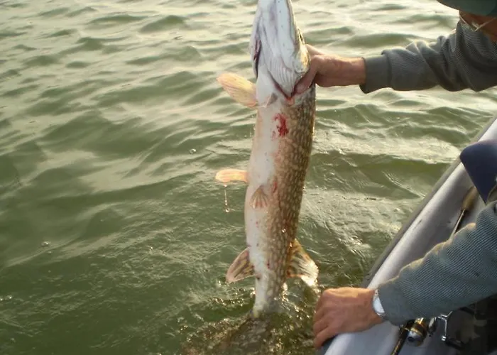 Lesna أوسيبيل