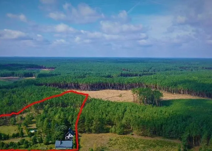 Lesna فيلة أوسيبيل