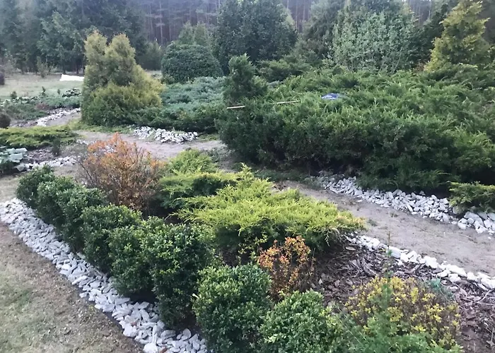 فيلة Lesna أوسيبيل